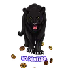 Lotto Pantera - 40 Pantera