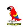Guacamaya - 42 - Lotto Pantera