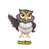 Buho - 44 - Lotto Pantera