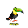 Lotto Pantera - 48 Tucan
