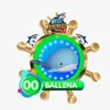 MegaAnimal - 00 Ballena