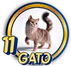 Gato - 11 - PandaPlus