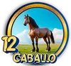 PandaPlus - 12 Caballo