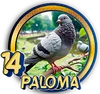 Paloma - 14 - PandaPlus