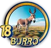 Burro - 18 - PandaPlus