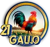PandaPlus - 21 Gallo