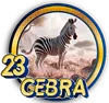 PandaPlus - 23 Cebra