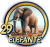 PandaPlus - 29 Elefante