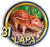 PandaPlus - 31 Lapa