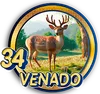PandaPlus - 34 Venado
