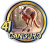 PandaPlus - 41 Canguro