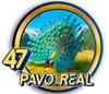 PandaPlus - 47 PavoReal