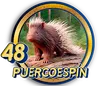 PandaPlus - 48 PuercoEspin