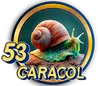 PandaPlus - 53 Caracol