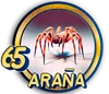 Araña - 65 - PandaPlus