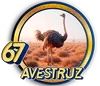 Avestrux - 67 - PandaPlus
