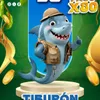 SelvaPlus - 56 Tiburon