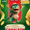 Camaleon - 60 - SelvaPlus