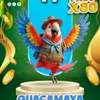 SelvaPlus - 71 Guacamaya