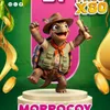 SelvaPlus - 91 Morrocoy